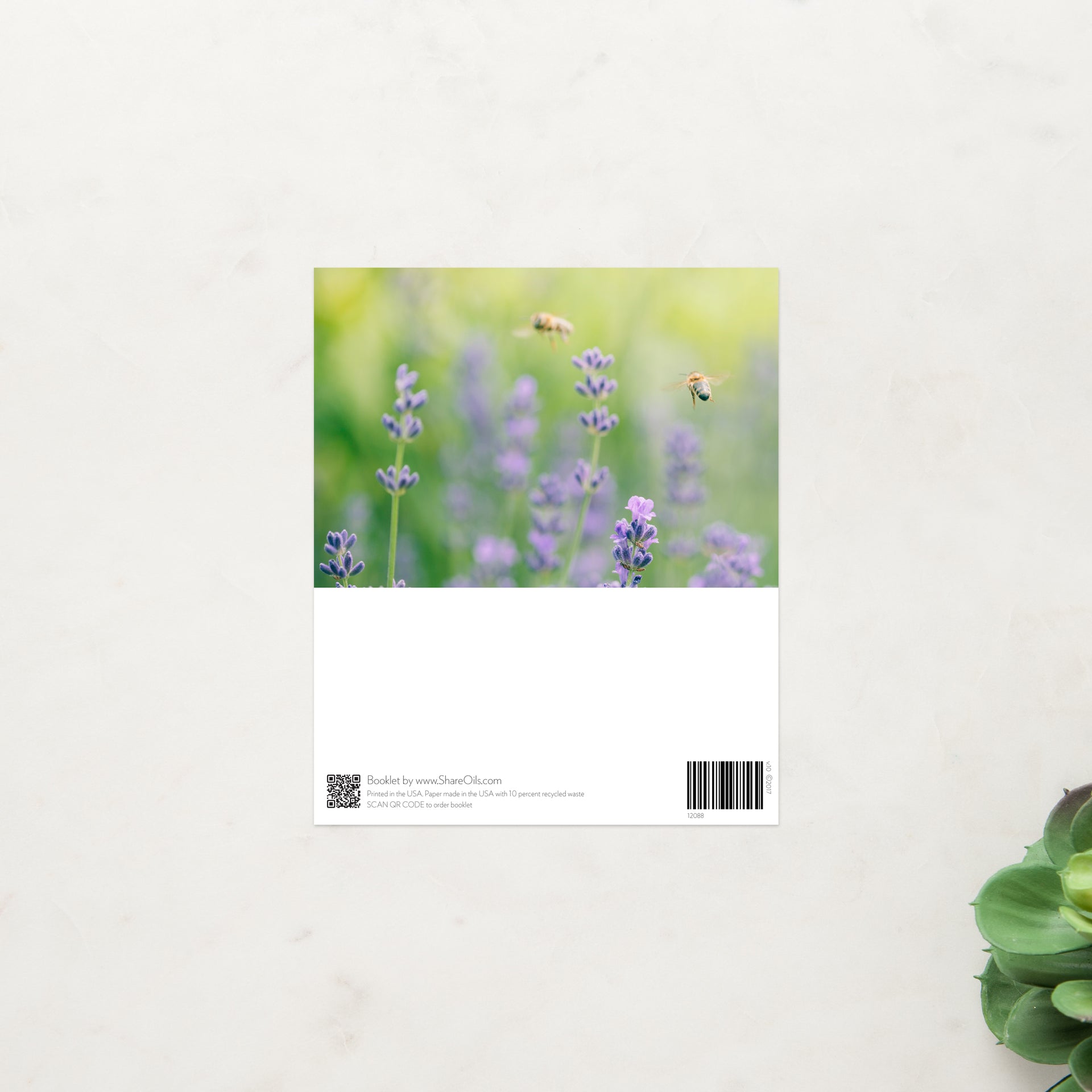 Using Essential Oils A Beginner's Guide • single booklet